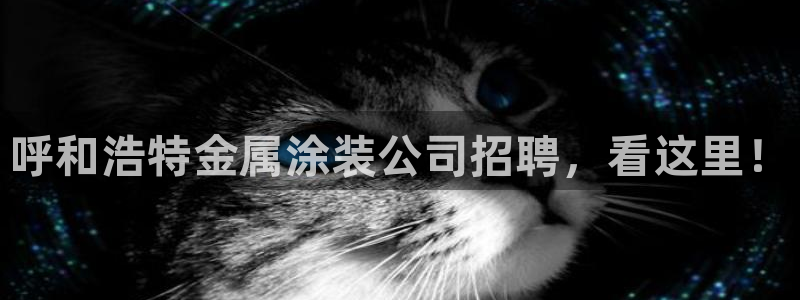 美高梅酒店澳门照片