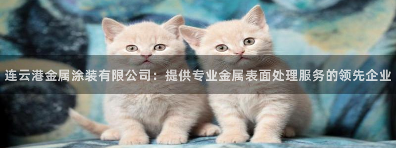 美高梅筹码5000跟100000的区别