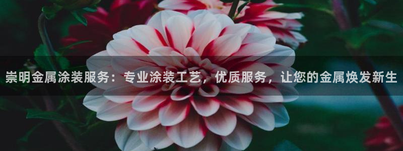 美高梅一千万筹码