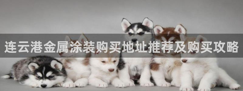 美高梅酒店的包可以拿走吗