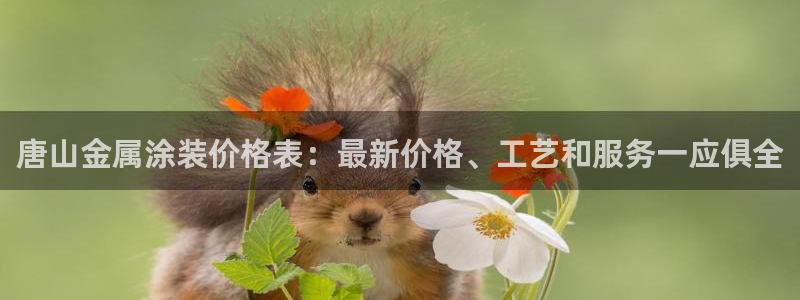 美高梅会员等级怎么分
