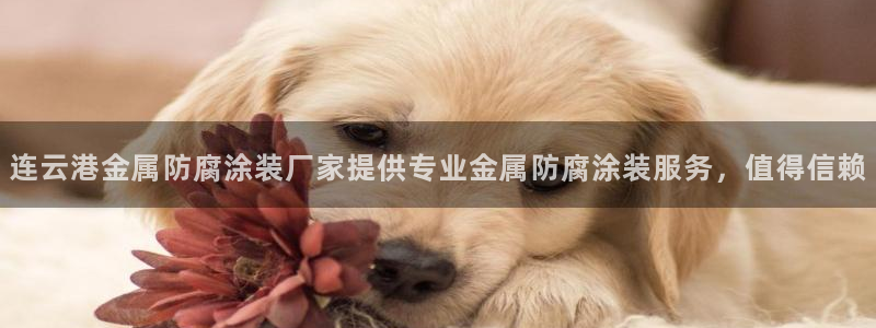 美狮美高梅酒店和美高梅
