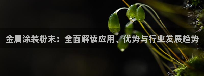 美高梅会员卡种类
