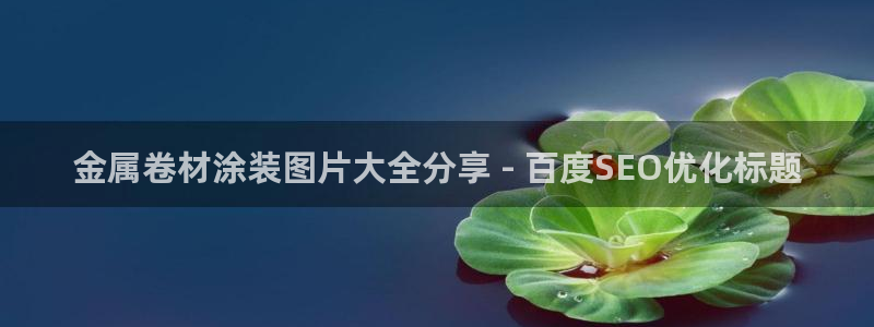 美高梅天幕广场表演