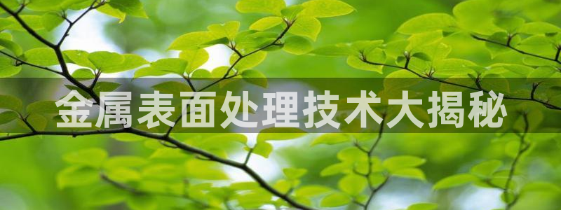 美高梅酒店风水