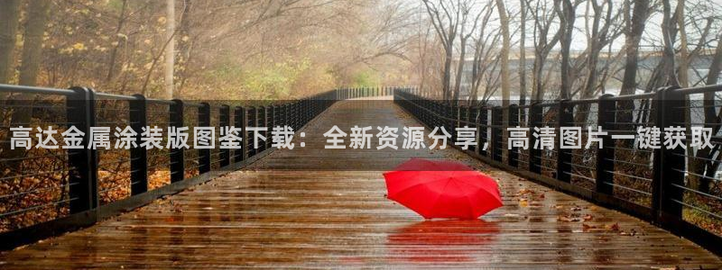 美高梅集团介绍