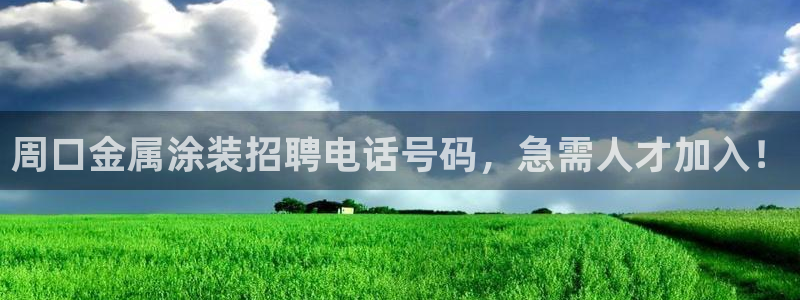 美高梅的狮子值多少钱