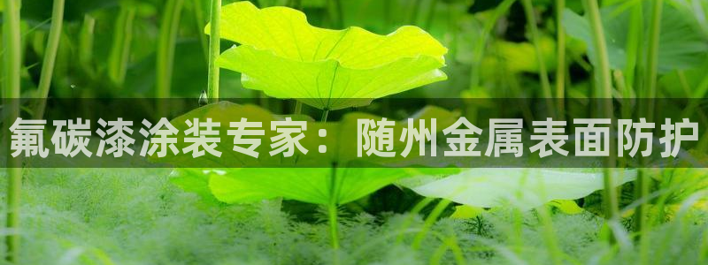 美高梅会员卡用途