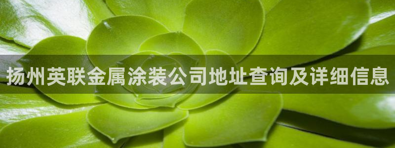 美高梅呈献郑伊健音乐会