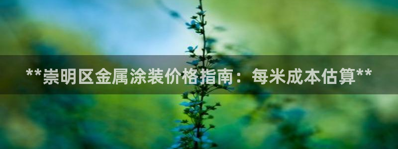 美高梅公司旗下有哪些公司