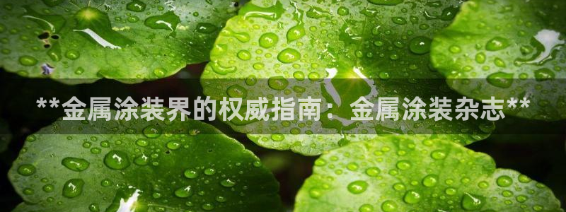 美高梅股票价格