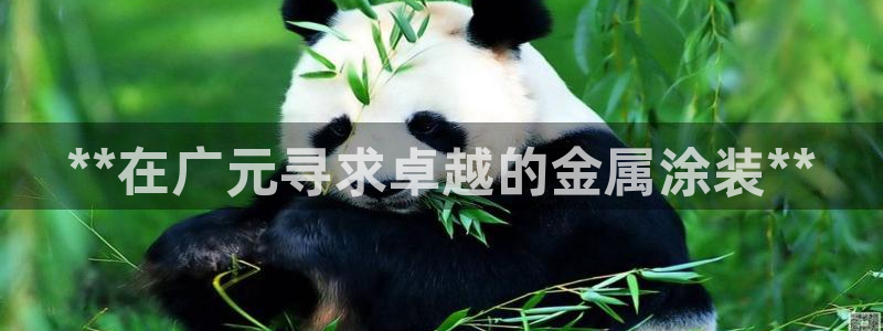 美高梅酒店名字的寓意