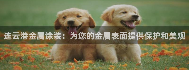 美高梅充值多少钱能提现到微信