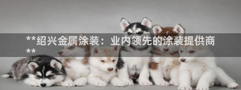 美高梅会员卡级别黑卡