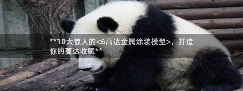 美高梅酒店几星级的