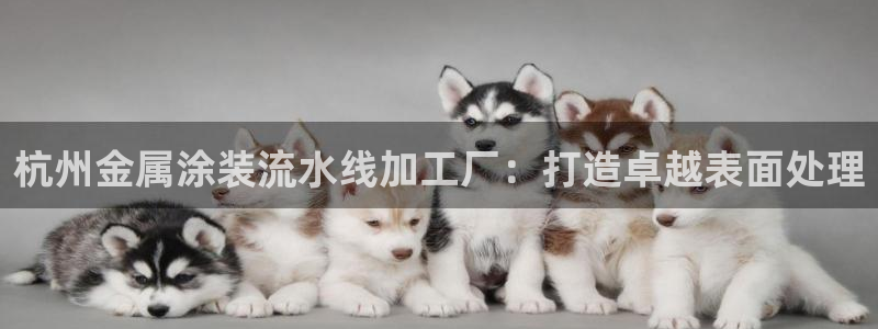 美高梅大酒店大厅展品