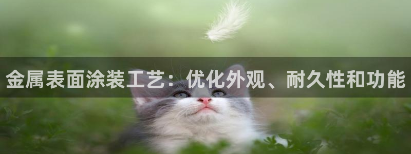 美高梅网投总站