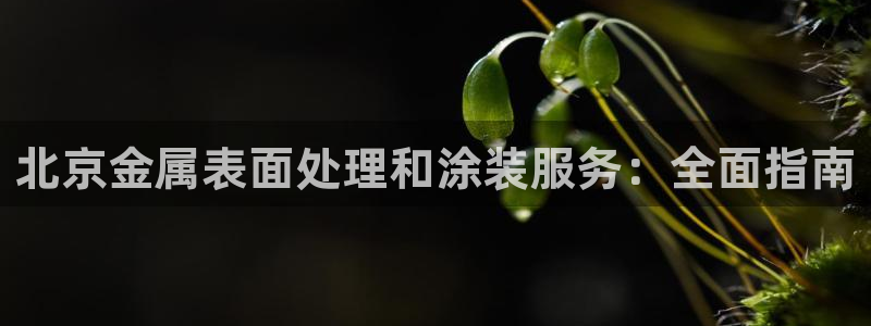 美高梅酒店哪个国家