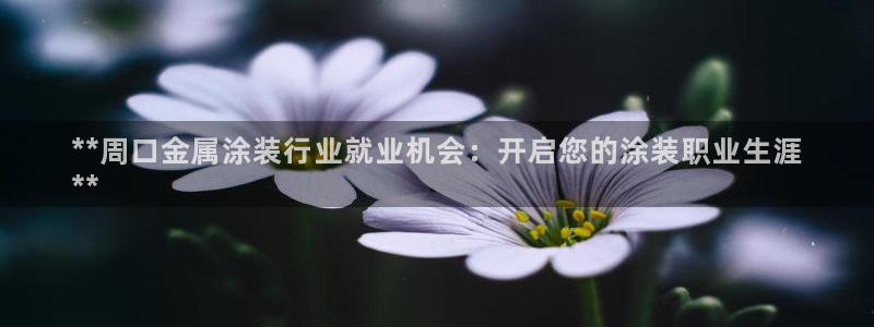 美高梅怎么打不开了