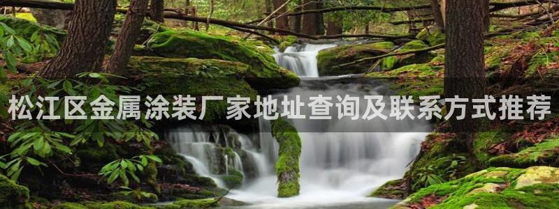 美狮美高梅酒店开业