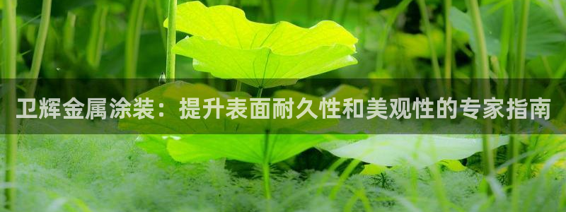 美高梅酒店澳门几星级
