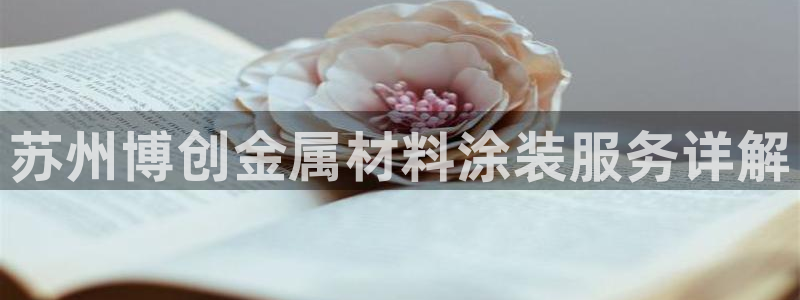 美高梅筹码图片