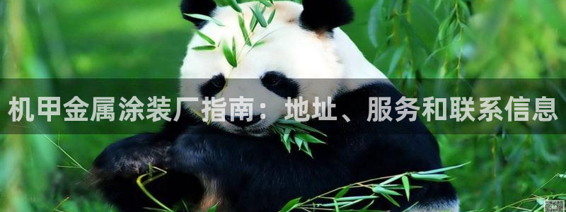 美狮美高梅酒店离哪个口岸近