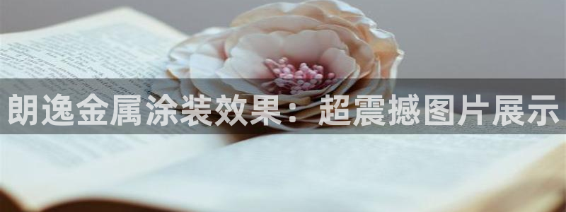 美高梅官网了