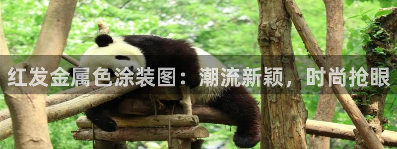 美高梅会员匹配凯悦