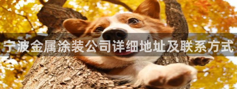 美高梅酒店表演时间