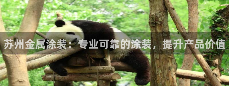 美高梅老板是