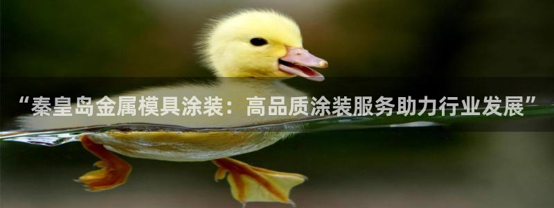 美高梅会员卡颜色区别
