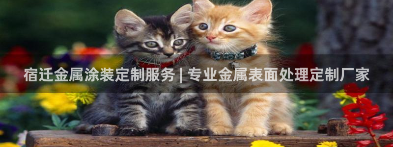 美高梅 股票