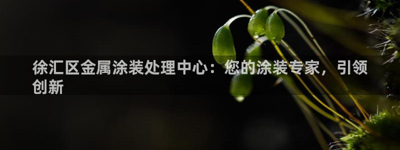 美高梅会员卡级别分类