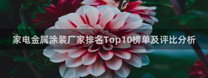 美高梅筹码图片