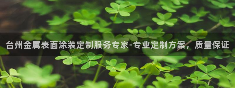 美狮美高梅酒店集团