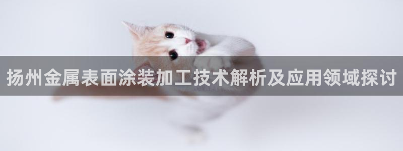 美高梅儿童泳池关闭