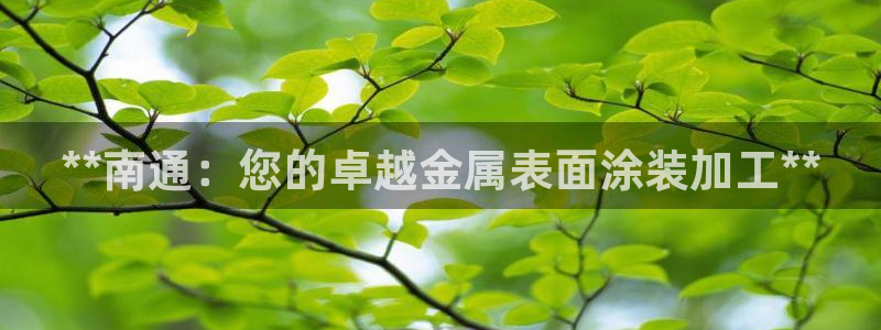 美高梅空气炸锅怎么样