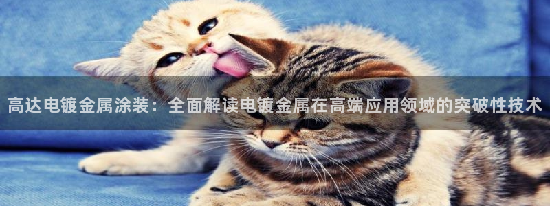 美高梅大酒店创始人