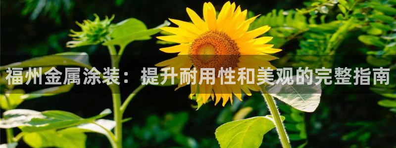美高梅充值多少钱能提现到银行卡