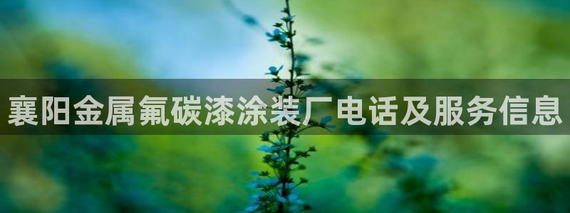 美狮美高梅酒店有什么品牌专卖店