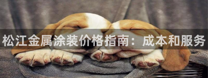美高梅会员卡初始密码多少
