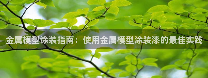 美高梅官网账号是什么