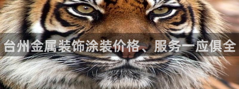 美高梅堵场是谁的