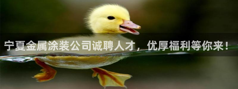 美高梅佛手柑润肤露怎么样