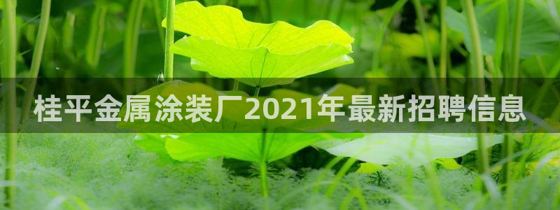 美高梅酒店官网 三亚
