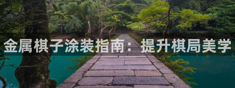 美高梅北京塞车：金属棋子涂装指南：提升棋