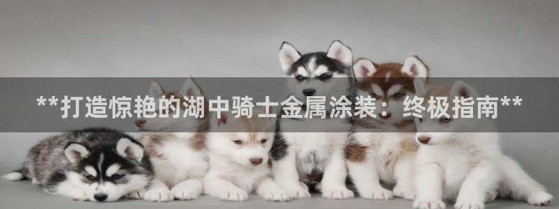 美高梅公司简介：**打造惊艳的湖中骑士金